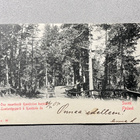 Kaukolanharju maantienäkymä 1905 - pikkukuva 1