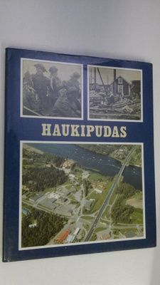 Haukipudas