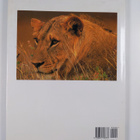 Andrew Cleave : Big Cats - A Portrait of the Animal World - pikkukuva 2