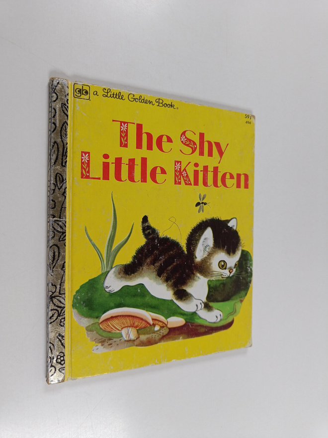 Cathleen Schurr : The shy little kitten