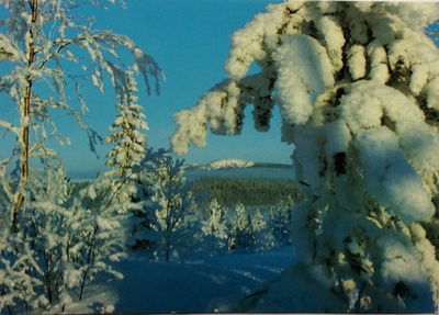 Juhani Hummasti - Kuusamo foto tk