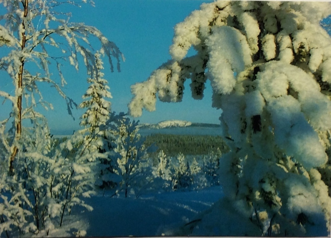 Juhani Hummasti - Kuusamo foto tk