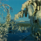 Juhani Hummasti - Kuusamo foto tk - pikkukuva 1