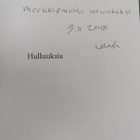 Matti Paloheimo : Hulluuksia : esseitä (signeerattu, teki... - pikkukuva 3
