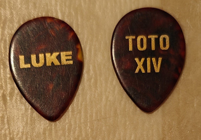 Plektra - Toto XIV - Steve Lukather