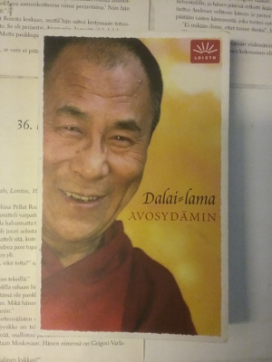 Dalai-lama - Avosydämin (pokkari)