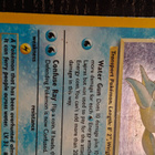 Lapras 10/62 Holo - pikkukuva 5