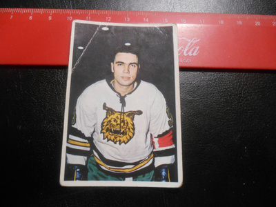 K15 Jenkki Jääkiekko-sarja  # 113 Pentti Pynnönen Ilves