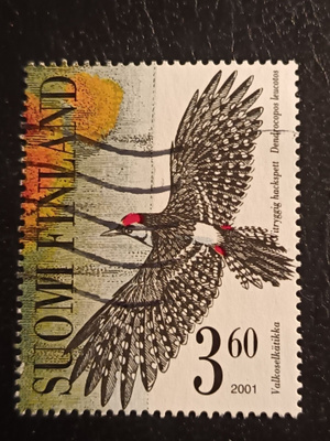 2001 Tikkalintuja