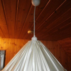 VALAISIN 9. LUONNONVALKEA VALAISIN, KANGASVARJOSTINOSA - pikkukuva 1