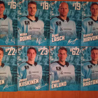 2023-24 Pelicans Team Issue 2€ kpl tai kaikki 30€ - pikkukuva 3