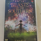 Beasts of the Southern Wild - pikkukuva 1