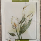 Calla (Lanarte) ristipistopakkaus - pikkukuva 1