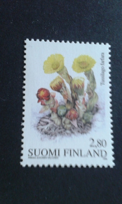 1998 leskenlehti**