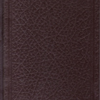 W. Somerset Maugham, Näyttelijätär - pikkukuva 1