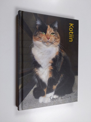 Seppo Lehto : Kotiin