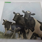 PINK FLOYD - ATOM HEART MOTHER VG++/EX- LP - pikkukuva 2