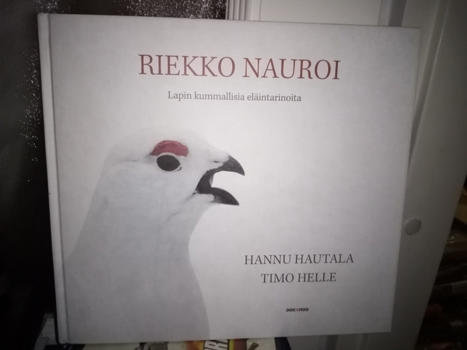 HAUTALA :  RIEKKO NAUROI ( SIS POSTIKULU)