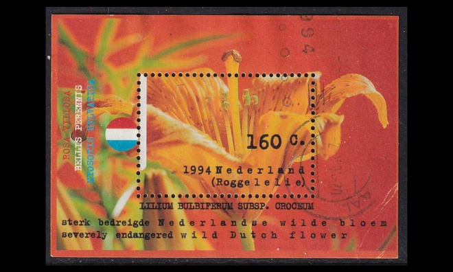 Alankomaat 1507BL40 o Luonto ja ympäristö (1994)