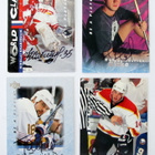 NHL nimmari kortteja, Katso - pikkukuva 1