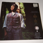 NARADA MICHAEL WALDEN THE NATURE OF THINGS LP - pikkukuva 2