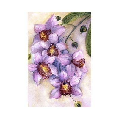 ORKIDEA (piirretty kortti) #3022