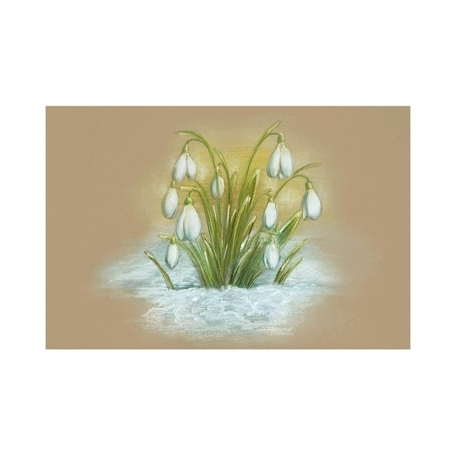 Lumikellot (piirretty kortti) #3022