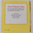Walt Disney : Nalle Puhin kivijahti - pikkukuva 2
