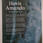 Teija ym. (toim.) Mononen : Havis Amanda : mon amour 100 ... - pikkukuva 2