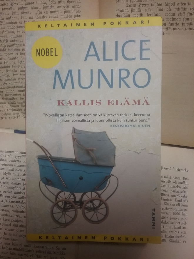 Alice Munro - Kallis elämä (pokkari)