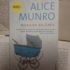 Alice Munro - Kallis elämä (pokkari) - pikkukuva 1
