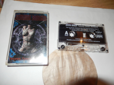 Dimmu borgir - Puritanical euphoric misanthropia