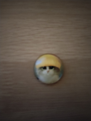 Kissa jääkaappi magneetti,pieni.