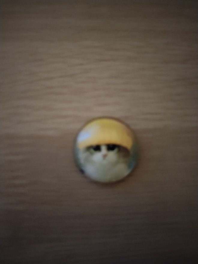 Kissa jääkaappi magneetti,pieni.