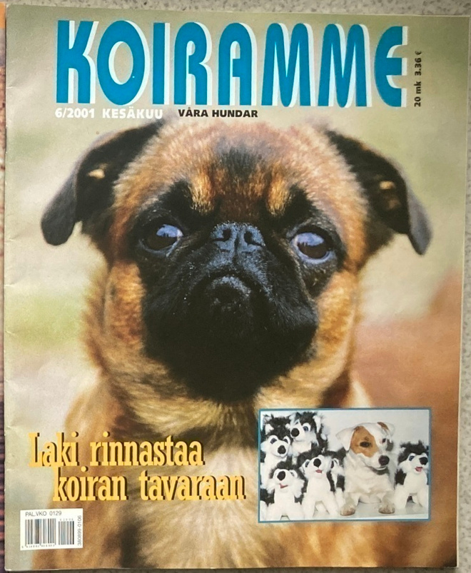 KOIRAMME 6/2001 + LIITE: METSÄSTYSKOIRAMME