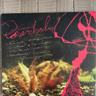 ELEONOORA ROSENHOLM - Vainajan muotokuva cd digipak - pikkukuva 2