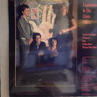 RAIN PARADE :: EXPLOSIONS IN THE GLASS PALACE :: VINYYLI  LP - pikkukuva 2