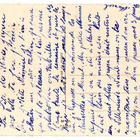 KUKKIA / Hilekoristeiset ranskalaiset neilikat. 1930-l. - pikkukuva 2