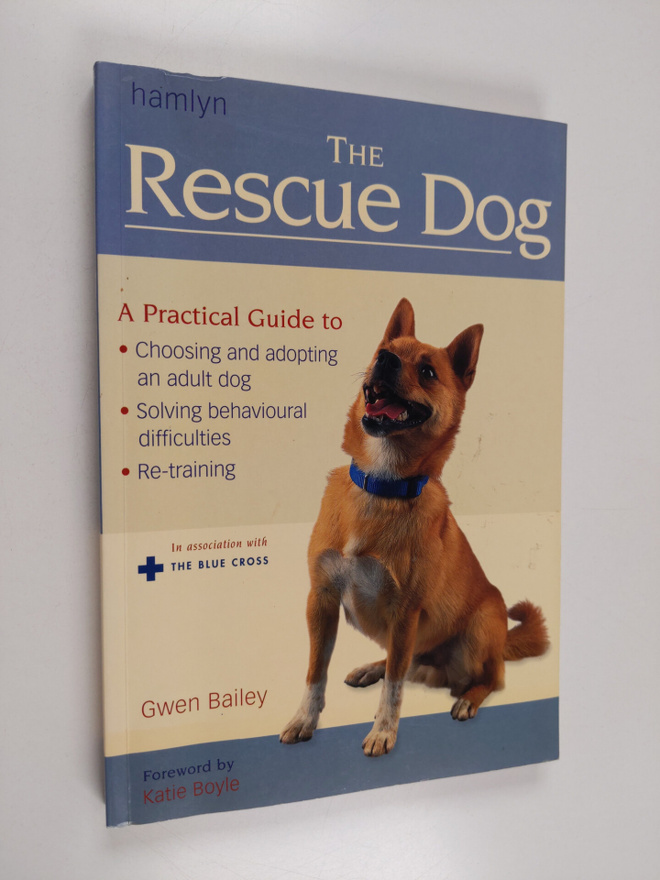 Gwen Bailey : The Rescue Dog