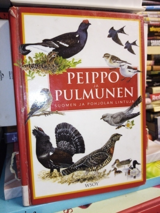 PEIPPO JA PULMUNEN ( SIS POSTIKULU)