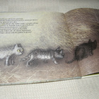 Wilkon Kissaretki - pikkukuva 2