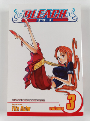 Tite Kubo : Bleach, Vol. 3