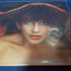 KATE BUSH - LIONHEART UUSI EU 2018 PAINOS LP - pikkukuva 2