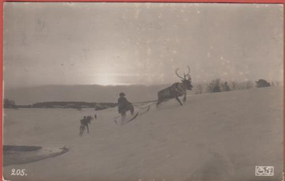 Lappi Porourheilua - kulk. v 1929