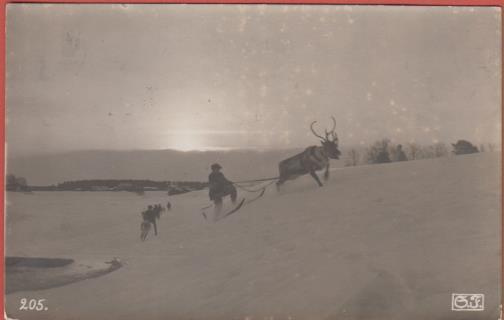 Lappi Porourheilua - kulk. v 1929