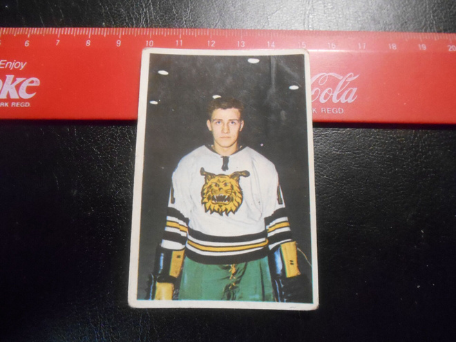 K15 Jenkki Jääkiekko-sarja  # 116 Pentti Uotila Ilves