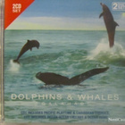 Galahad • Dolphins & Whales 2xCD - pikkukuva 1