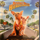 Beverly Hillsin hienostohauva (Suomi Blu-Ray) - pikkukuva 1