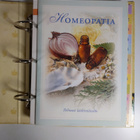 Hyvinvointia luonnosta : korttikirja - pikkukuva 3