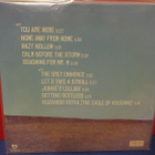 Janne Haavisto - You Are Here UUSI "SS" LP - pikkukuva 2